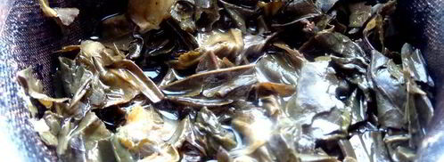 лимонад из зеленого чая. Шаг 5