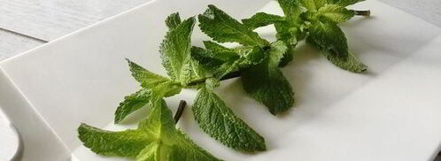 лимонад с мятой и лаймом. Шаг 5