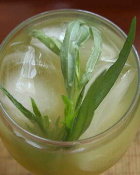 Лимонад Тархун