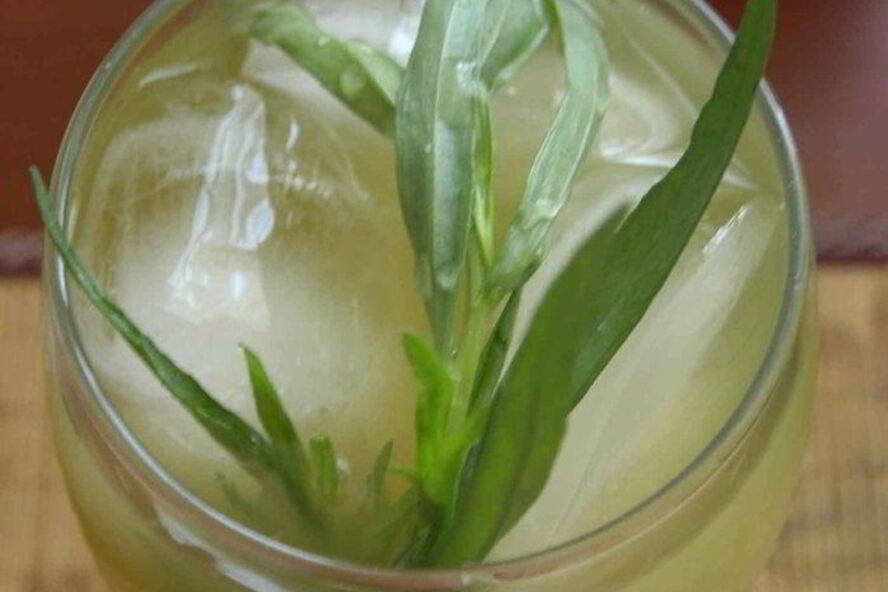 Рецепт лимонада тархун