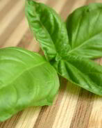 Свежий базиликовый лимонад