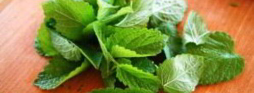 алкогольный напиток в стиле мохито. Шаг 3