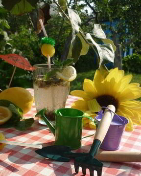 Дачный Мохито