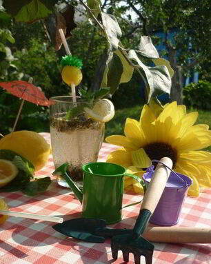 Дачный Мохито