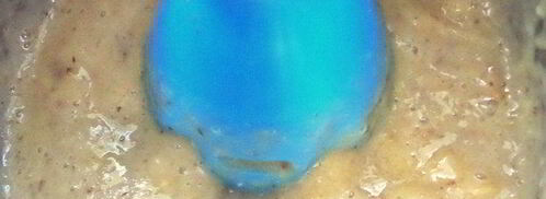 коктейль-десерт на основе молока и фруктов. Шаг 7