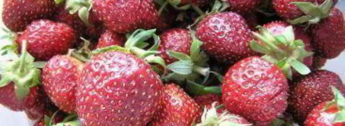 клубничный морс. Шаг 4