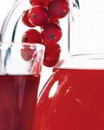 Морс из красной смородины