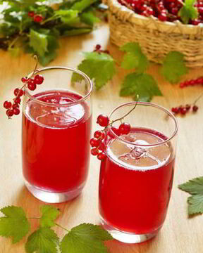 Морс из смородины