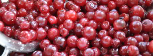 морс клюквенно-смородиновый. Шаг 3