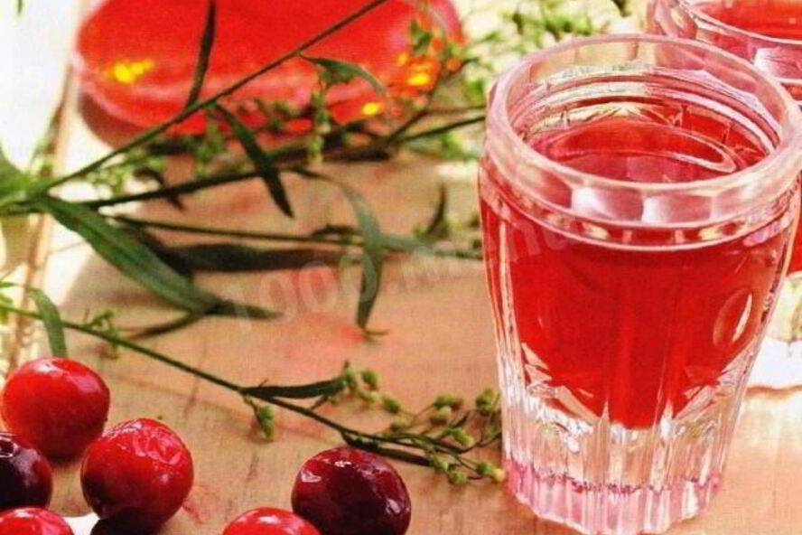 Рецепт брусничной наливки из брусники на водке