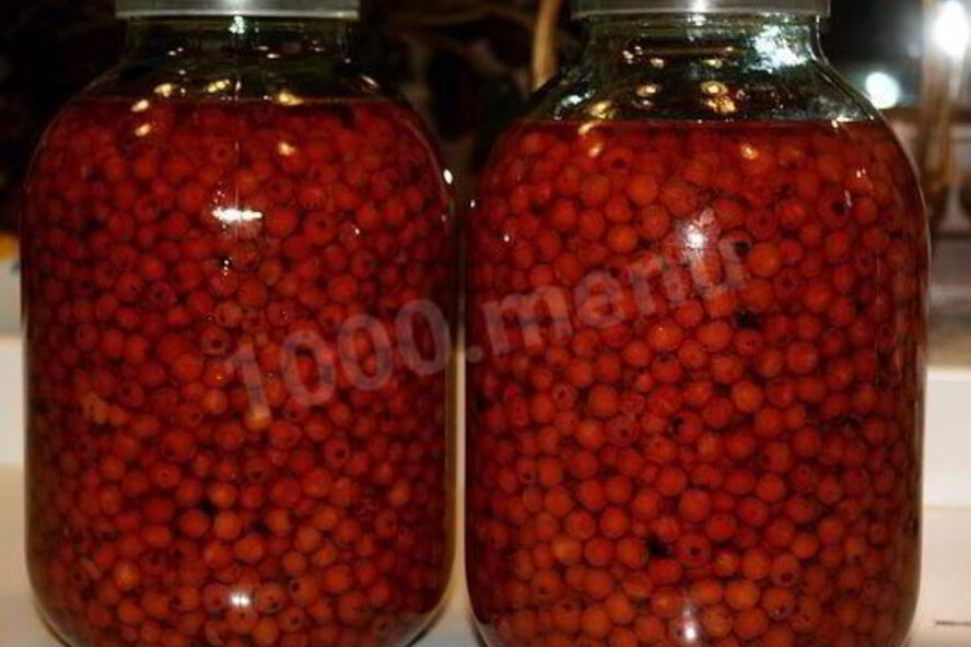 Рецепт черноплодной наливки из рябины