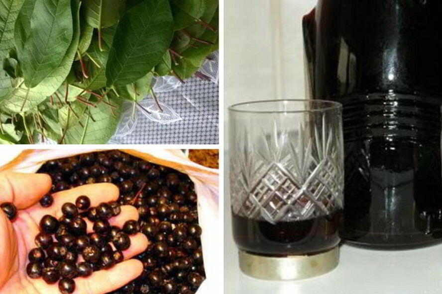 Рецепт наливки 100 листьев