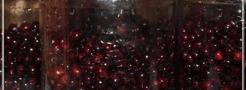 наливка черносмородиновая. Шаг 8