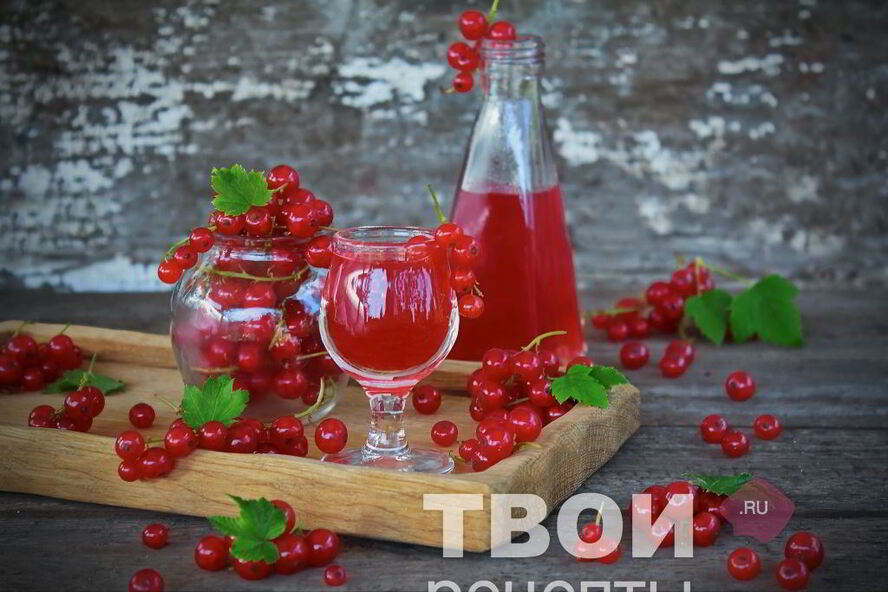 Рецепт наливки из красной смородины
