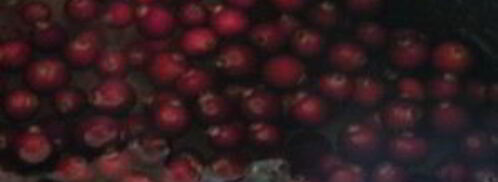 наливка в мультиварке. Шаг 4