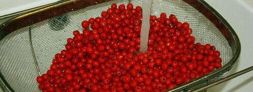 рябиновая наливка. Шаг 12