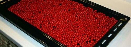 рябиновая наливка. Шаг 14