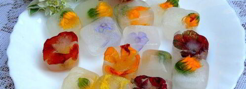 напиток из календулы с цветочным льдом. Шаг 7