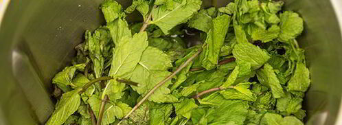 напиток мятный, концентрированный. Шаг 4