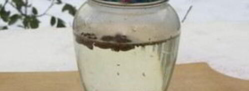 анисовая настойка на самогоне. Шаг 3