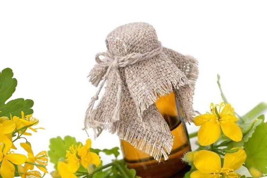 Рецепт настойки чистотела на спирту