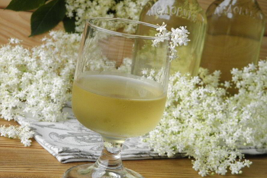 Рецепт настойки из бузины