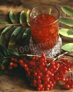 Настойка из красной рябины