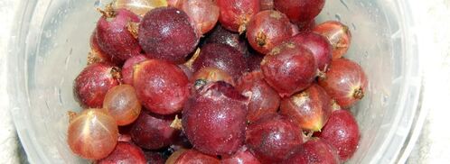 настойка из крыжовника. Шаг 3