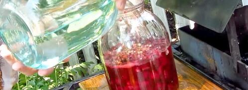 настойка из вишни на спирту домашняя. Шаг 5