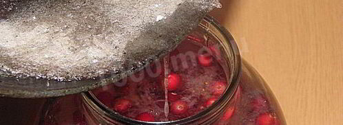 настойка на северной клюкве. Шаг 3