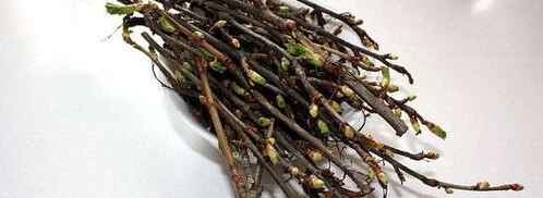 настойка на смородиновых почках. Шаг 8