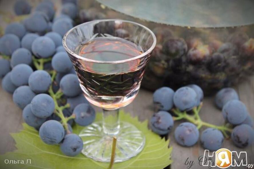 Рецепт виноградной настойки пряно-пьяная изабелла