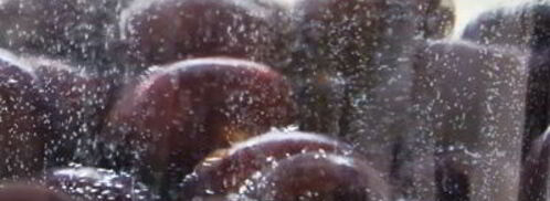 вишневая настойка. Шаг 3