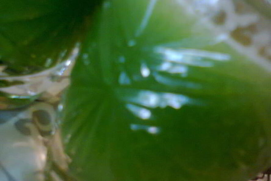 Рецепт овощного сока зеленого