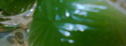 овощной сок зеленый. Шаг 4