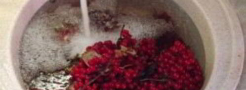 сок из калины. Шаг 3