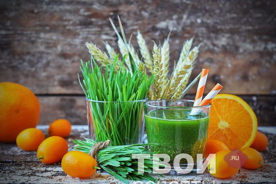 Рецепт сока из ростков пшеницы