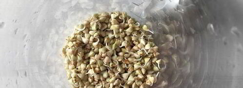 томатный сок с зеленой гречкой, сельдереем и сметаной. Шаг 11