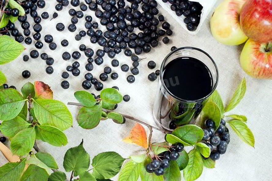 Рецепт вина из аронии