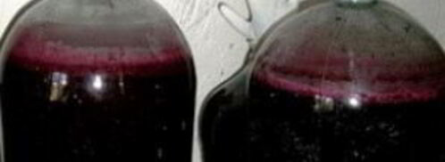 вино из черной смородины. Шаг 5