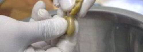 греческий салат с соевым соусом. Шаг 6