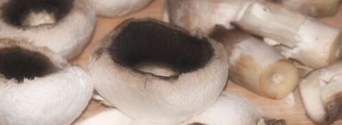 селедка под лисьей шубой. Шаг 4