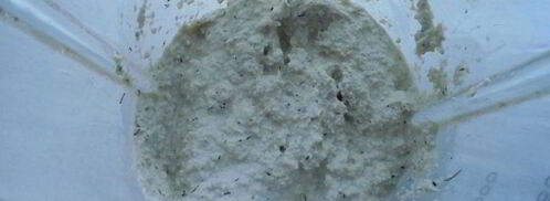 майонез из подсолнечных семечек. Шаг 3