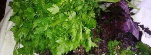 кетчуп домашний пряный. Шаг 4