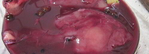 пастрома из куриной грудки в винном маринаде. Шаг 4