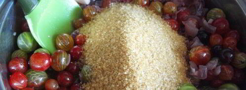 соус из крыжовника. Шаг 5