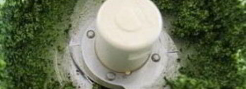 паста с соусом песто из капусты кале и грецких орехов. Шаг 4