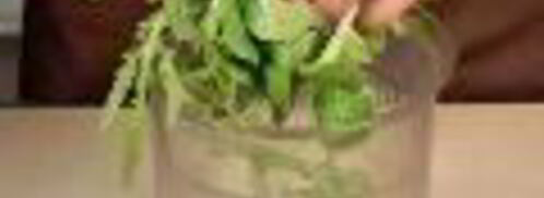 песто из корн-салата и руколы. Шаг 3