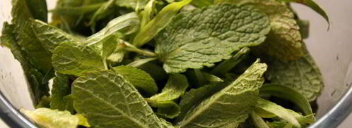 сладкий мятный песто. Шаг 3