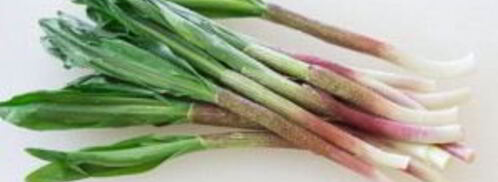 соус песто из черемши. Шаг 3